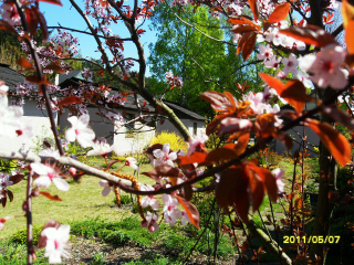 noclegi domki wypoczynkowe letniskowe wolnostojce szeregowe wynajem orodek wypoczynkowy EDWARD nad morzem Polska Batyk